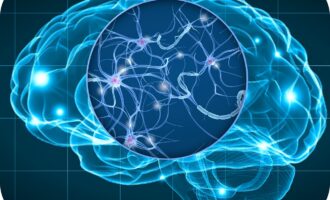 BrainSee