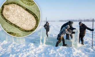 ویروس زامبی