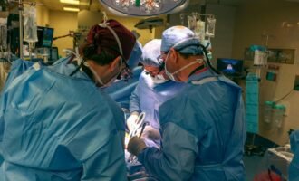 کلیه اصلاح‌شده ژنتیکی خوک