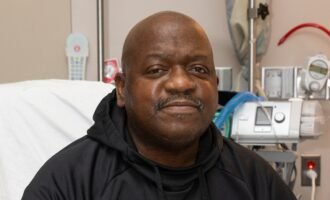 پیوند کلیه خوک