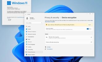 MICROSOFT11