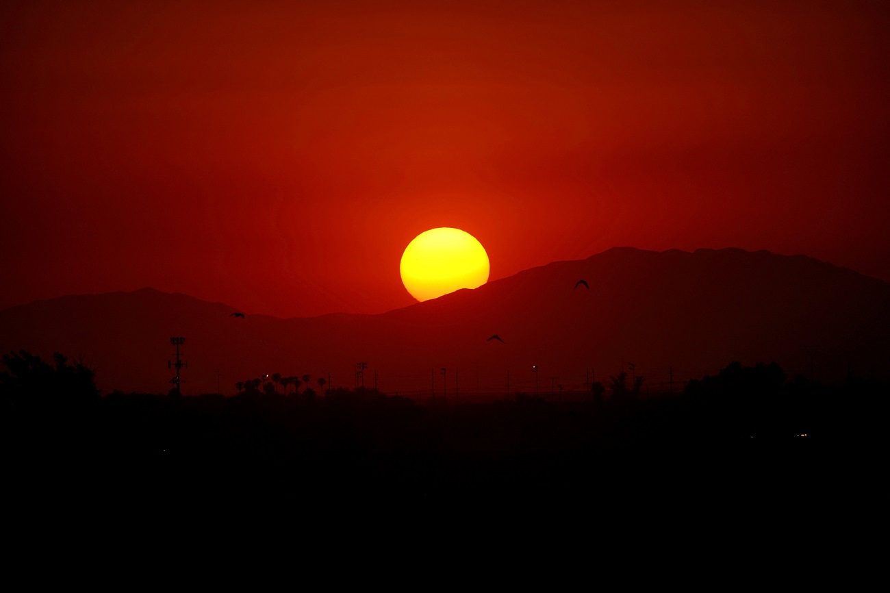 تابستان 2024