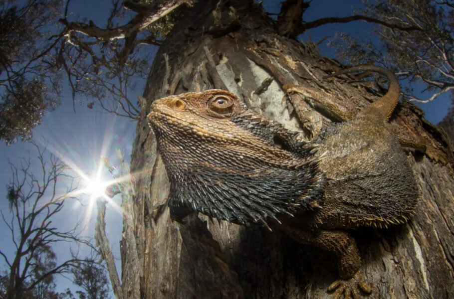 مسابقه عکاسی