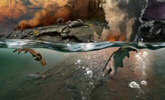 نقش در ال نینو انقراض پرمین-تریاس