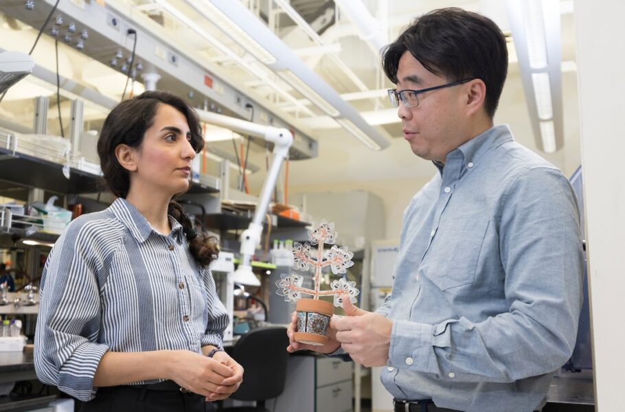 اختراع گیاه مصنوعی توسط دانشمند ایرانی