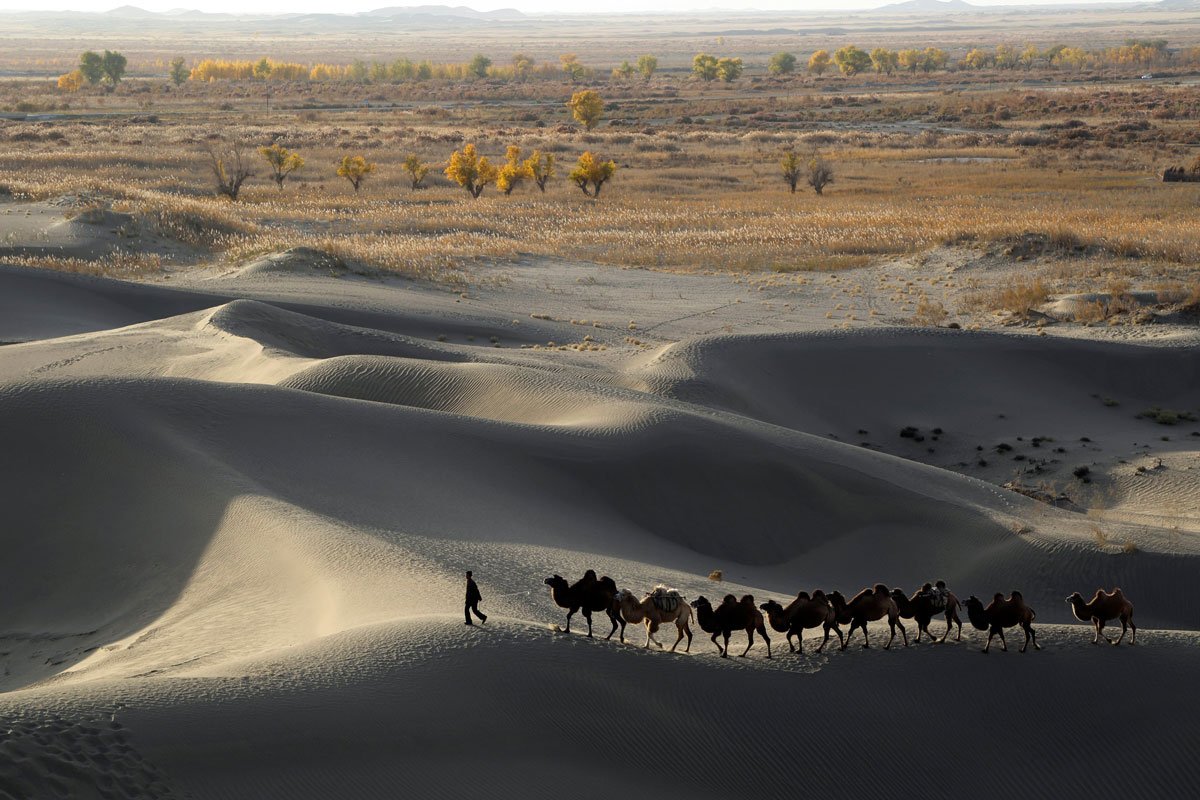 بیابان