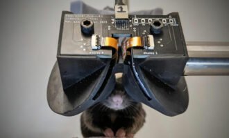 عینک واقعیت مجازی برای موش