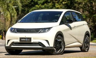 بی وای دی دلفین