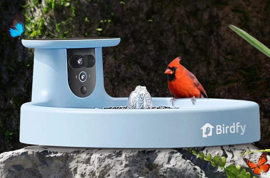 خوراک دهنده پرندگان شرکت Birdfy