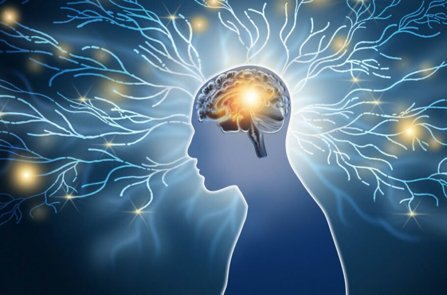 کشف محل کنترل اضطراب در مغز